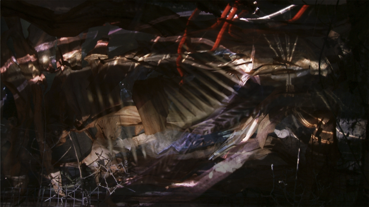 Premiere Concert of COINCIDENT: A New Collaborative Series Zeitgeist New Music, Scott L. Miller, and Carole Kim, and More