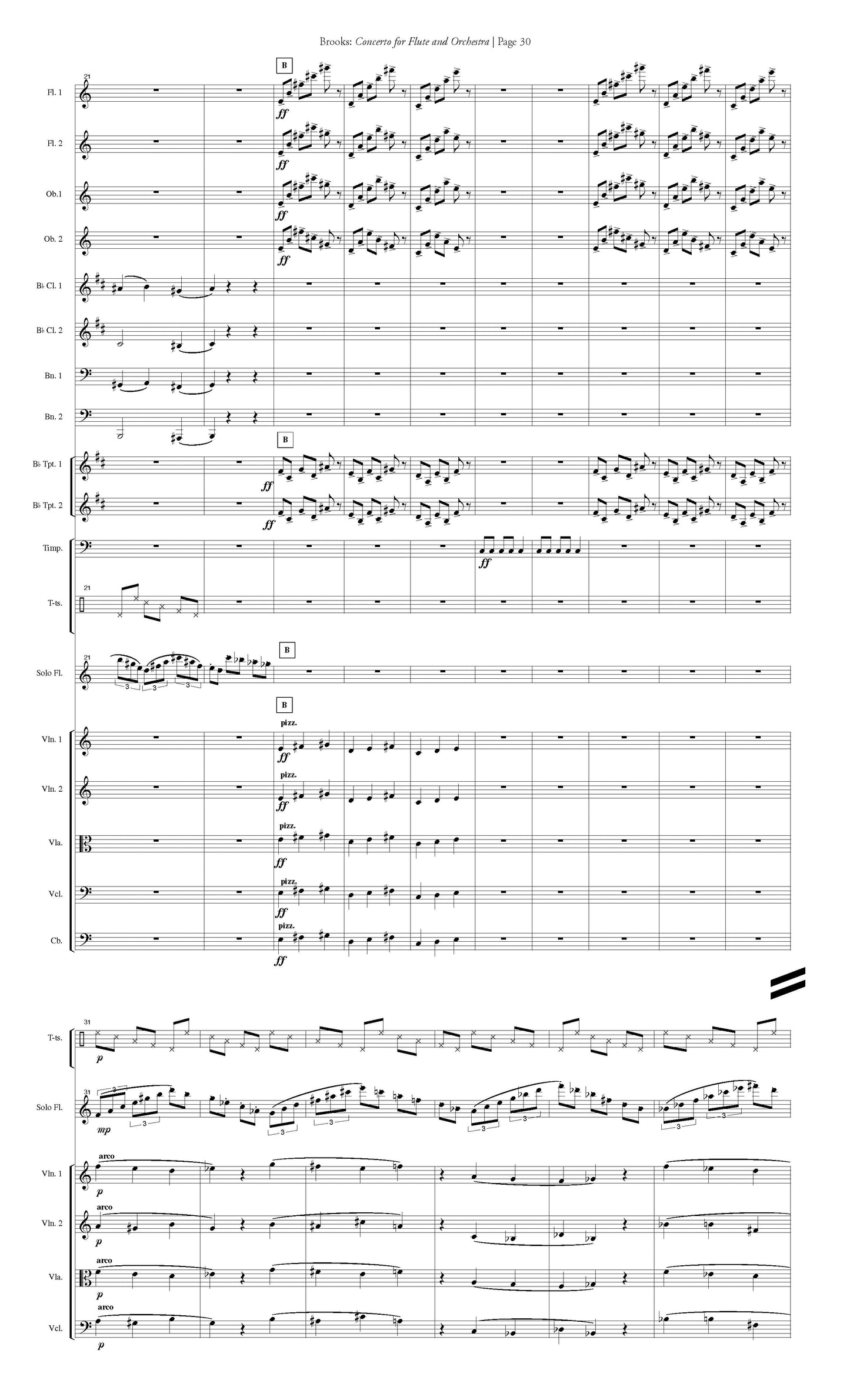 Concerto For Flute And Orchestra