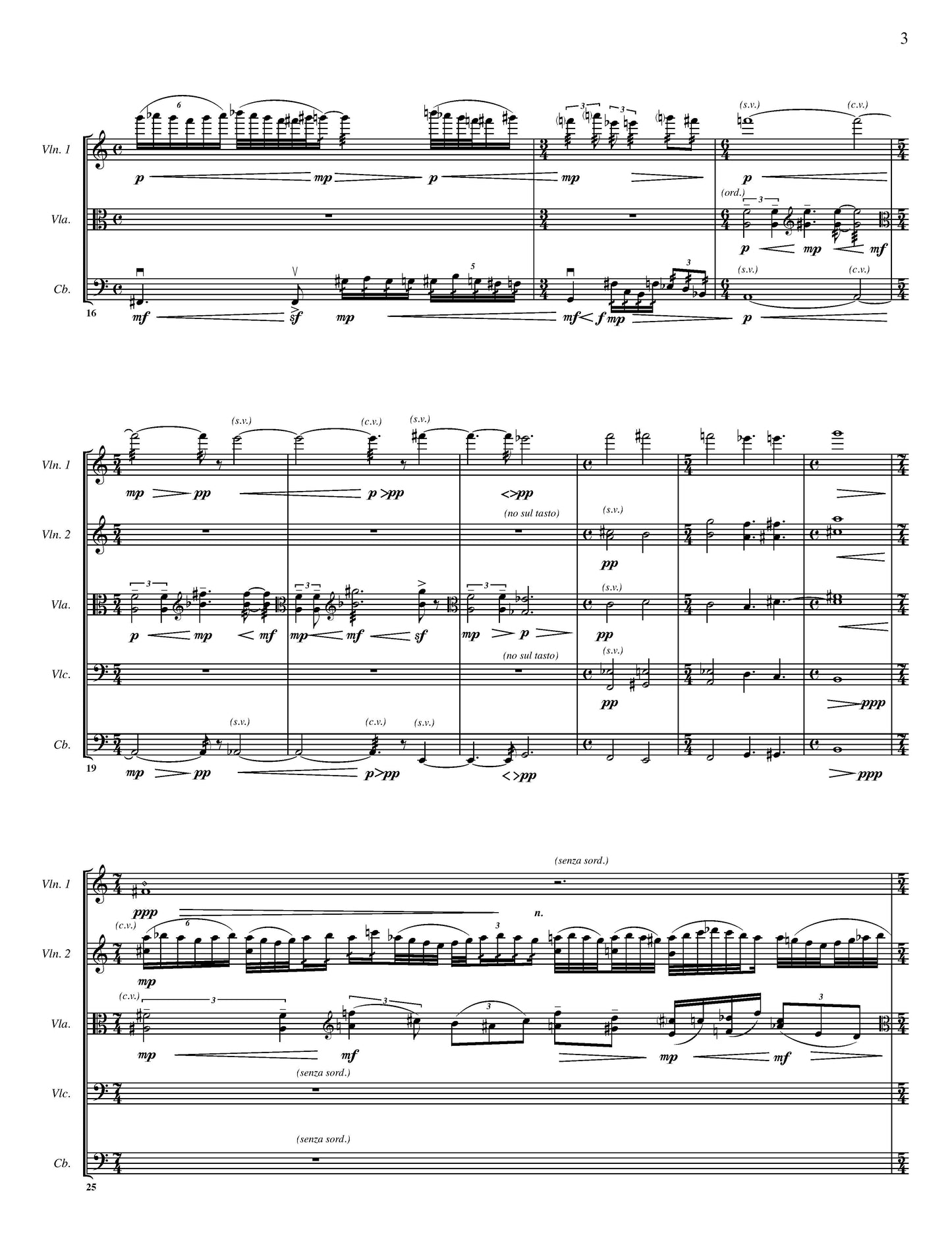 Wind's Trace Rests On Leaves And Waves