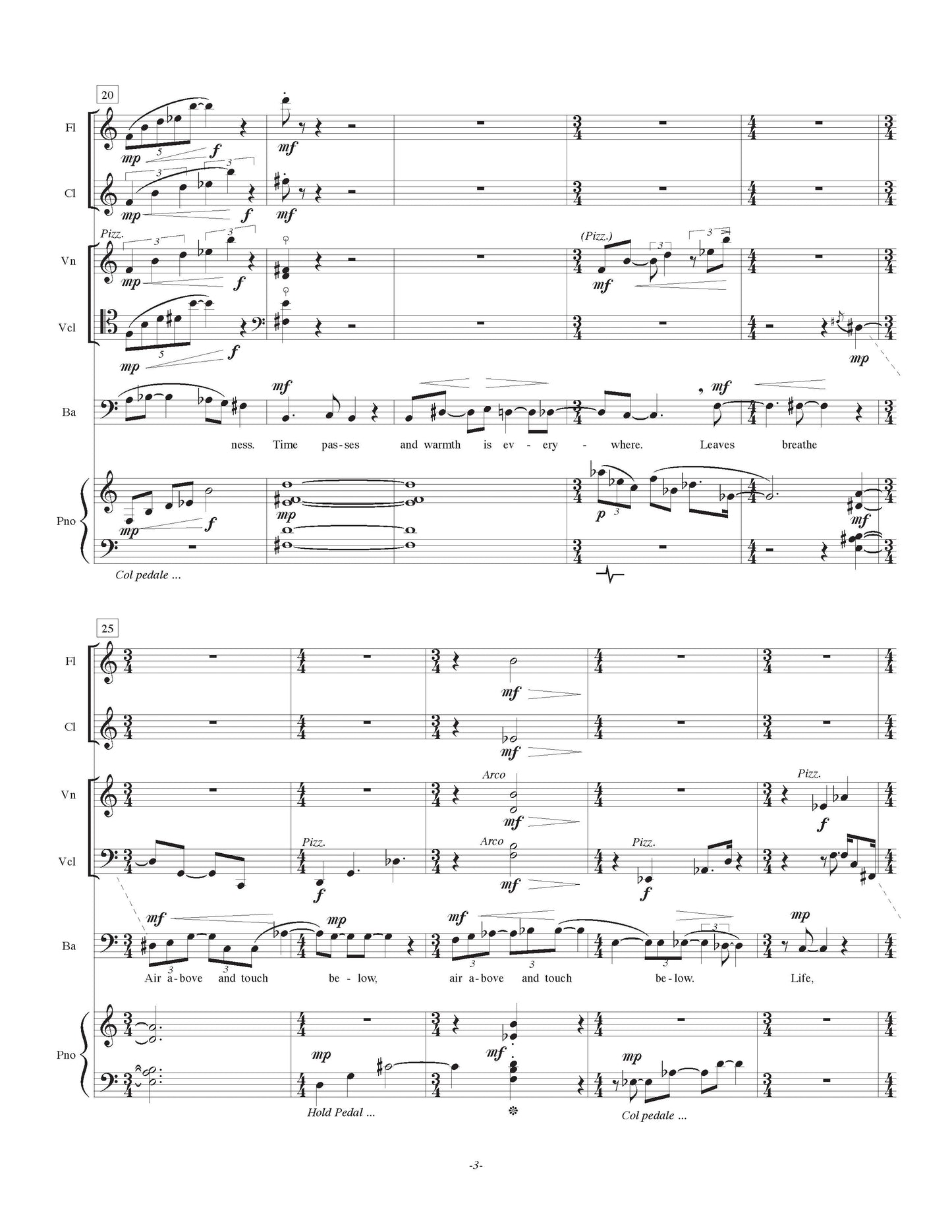 Excerpt from the Memoirs of a Carrot