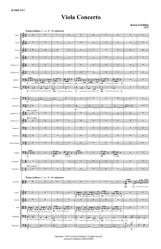 Viola Concerto with Orchestra