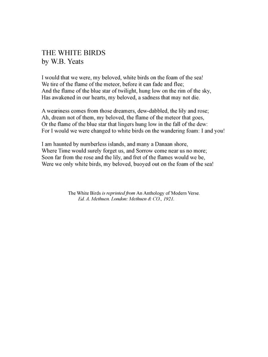 WHITE BIRDS, THE