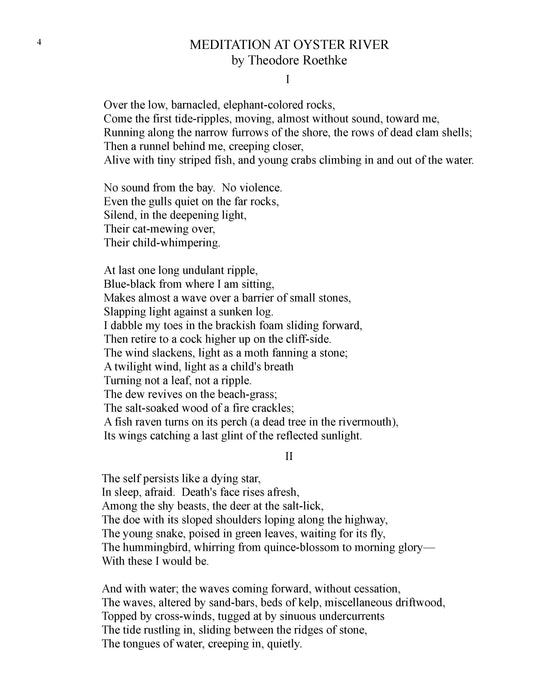 MEDITATION AT OYSTER RIVER