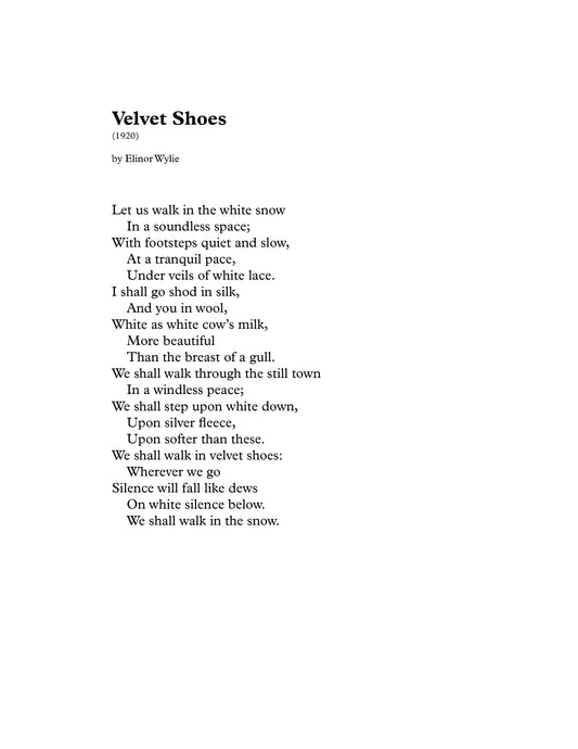 Velvet Shoes