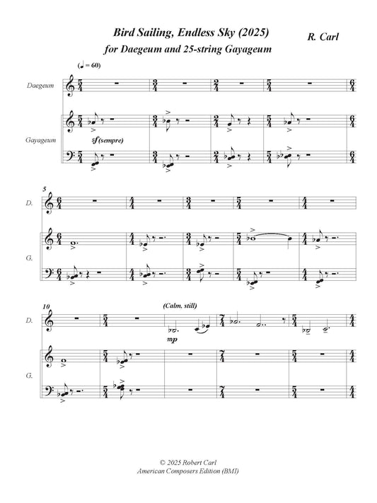 Bird Sailing, Endless Sky