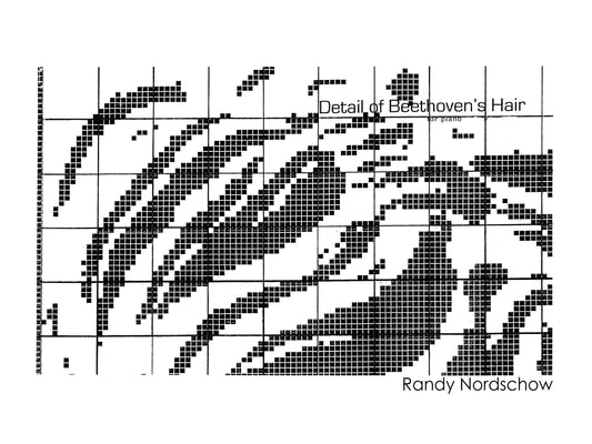 DETAIL OF BEETHOVEN'S HAIR for PIANO