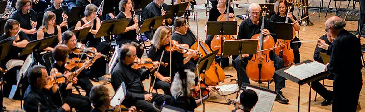 Alison Nowak's Piece for Strings was performed by Sage City Symphony, Nov. 14