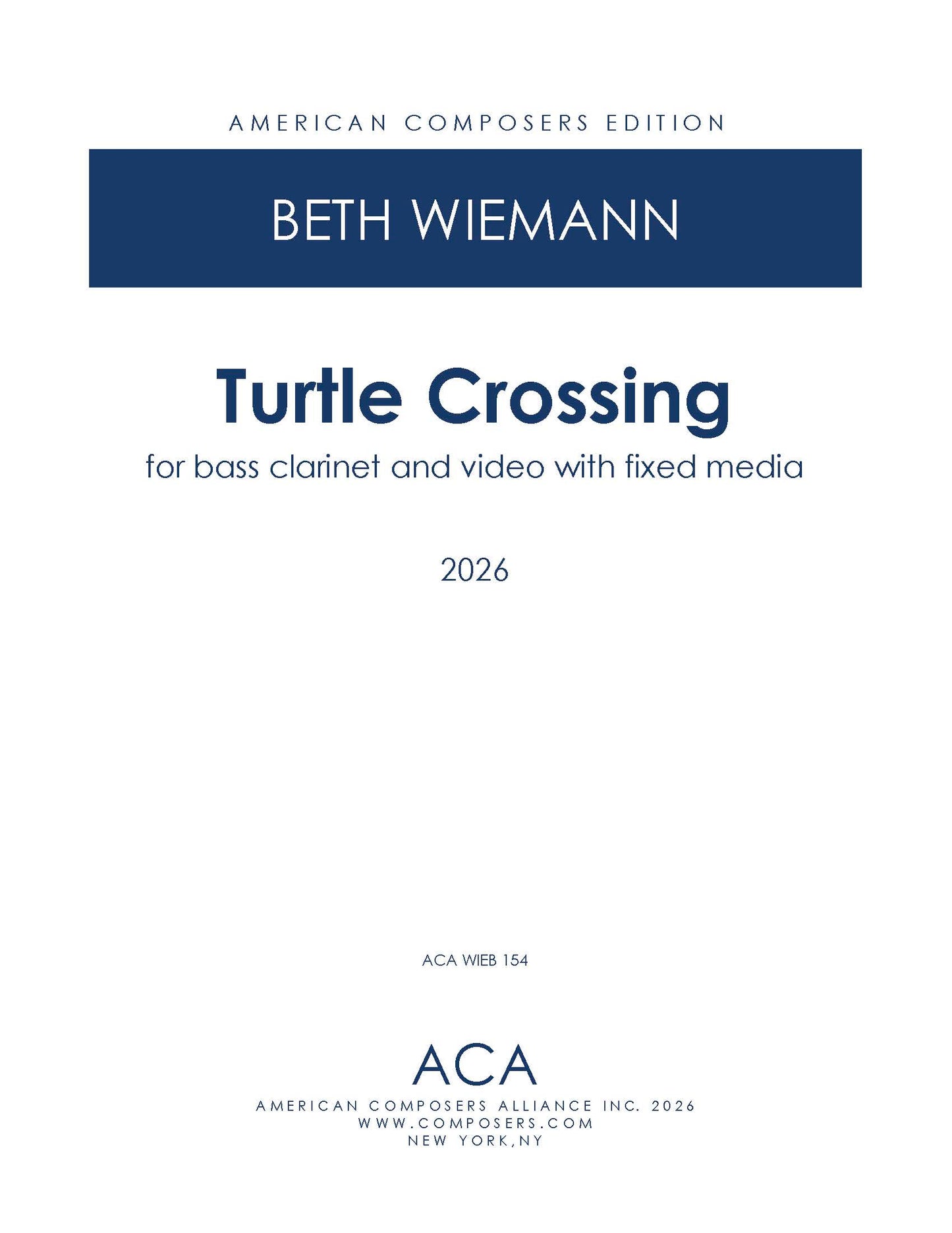 Turtle Crossing