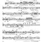 Flute Works by American Composers: 12 Pieces for Flute Alone