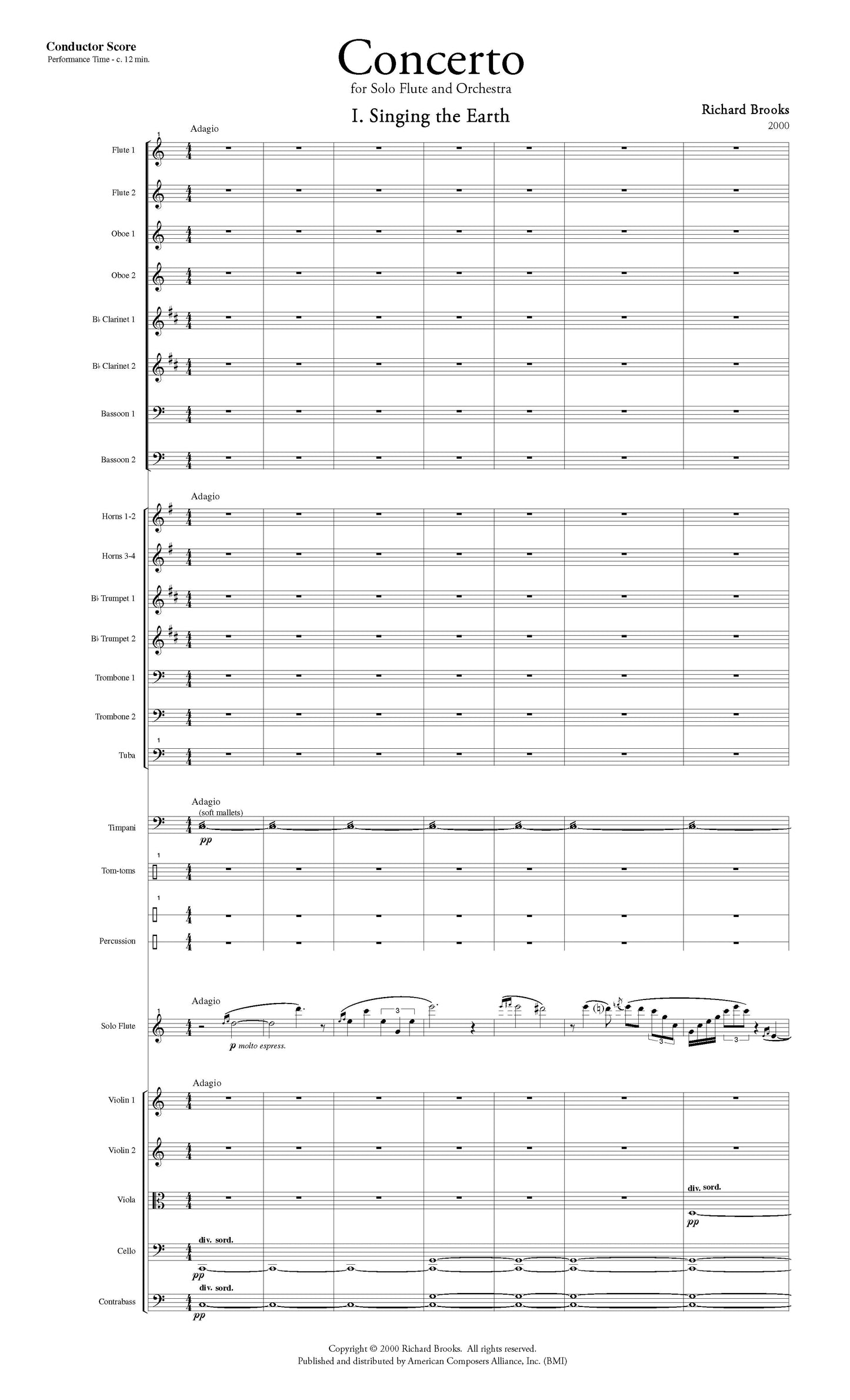 Concerto For Flute And Orchestra