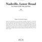 Nashville, Lower Broad