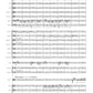 Viola Concerto with Orchestra