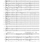 Viola Concerto with Orchestra