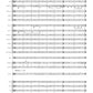 Viola Concerto with Orchestra