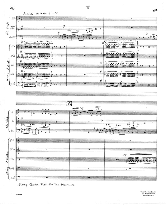 CONCERTO FOR FLUTE CLARINET BASSOON and STRINGS aka Concerto for Winds and Strings