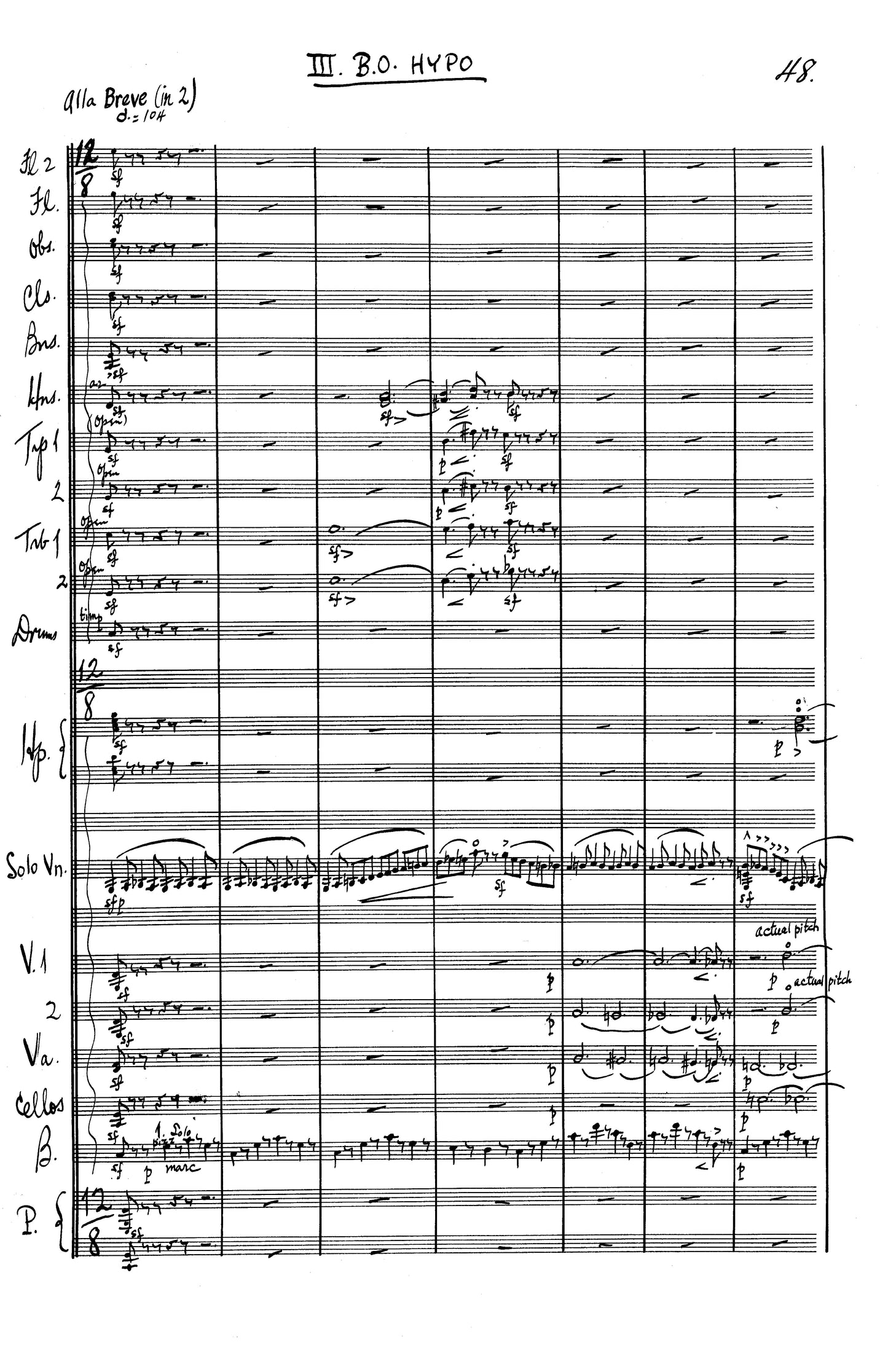 Variety Day (Concerto)