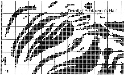 DETAIL OF BEETHOVEN'S HAIR for PIANO