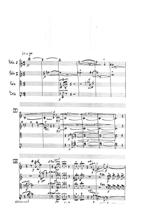 SOUNDSCAPE for String Quartet