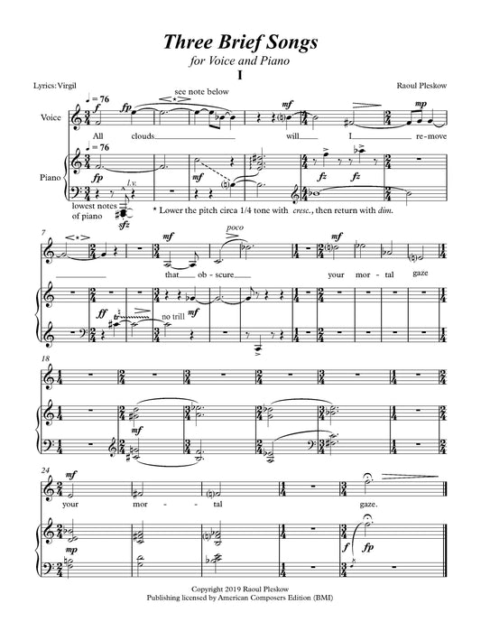 THREE BRIEF PIECES FOR CHAMBER ORCHESTRA