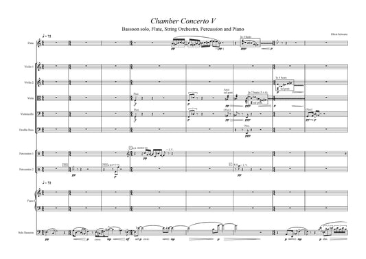 CHAMBER CONCERTO V