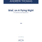 Brief, on a Flying Night