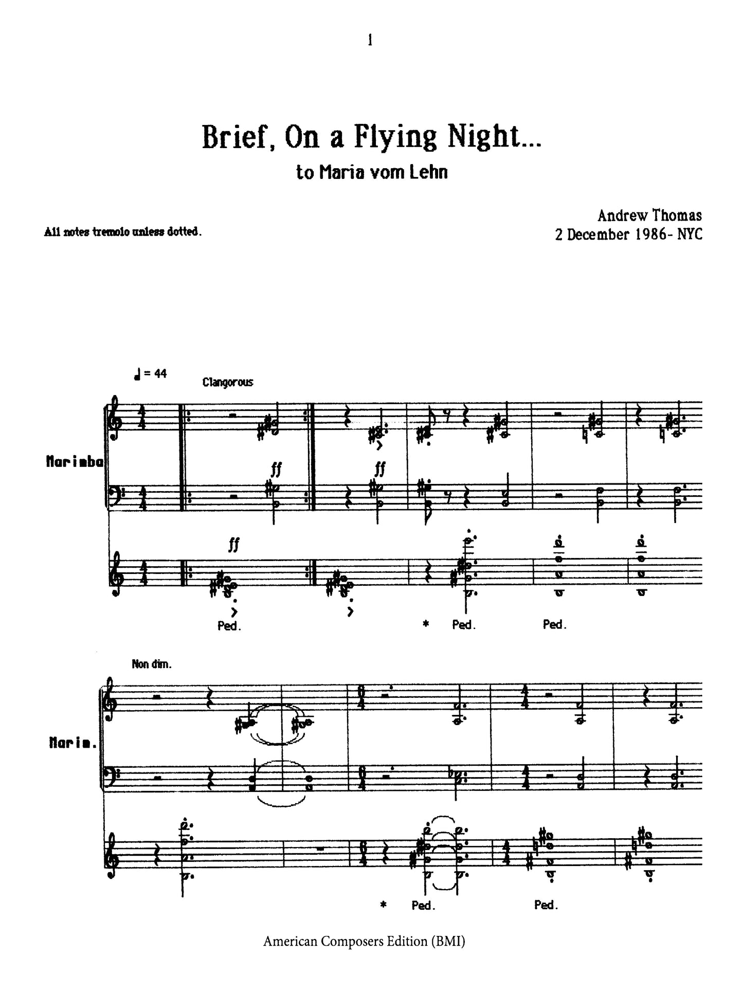 Brief, on a Flying Night