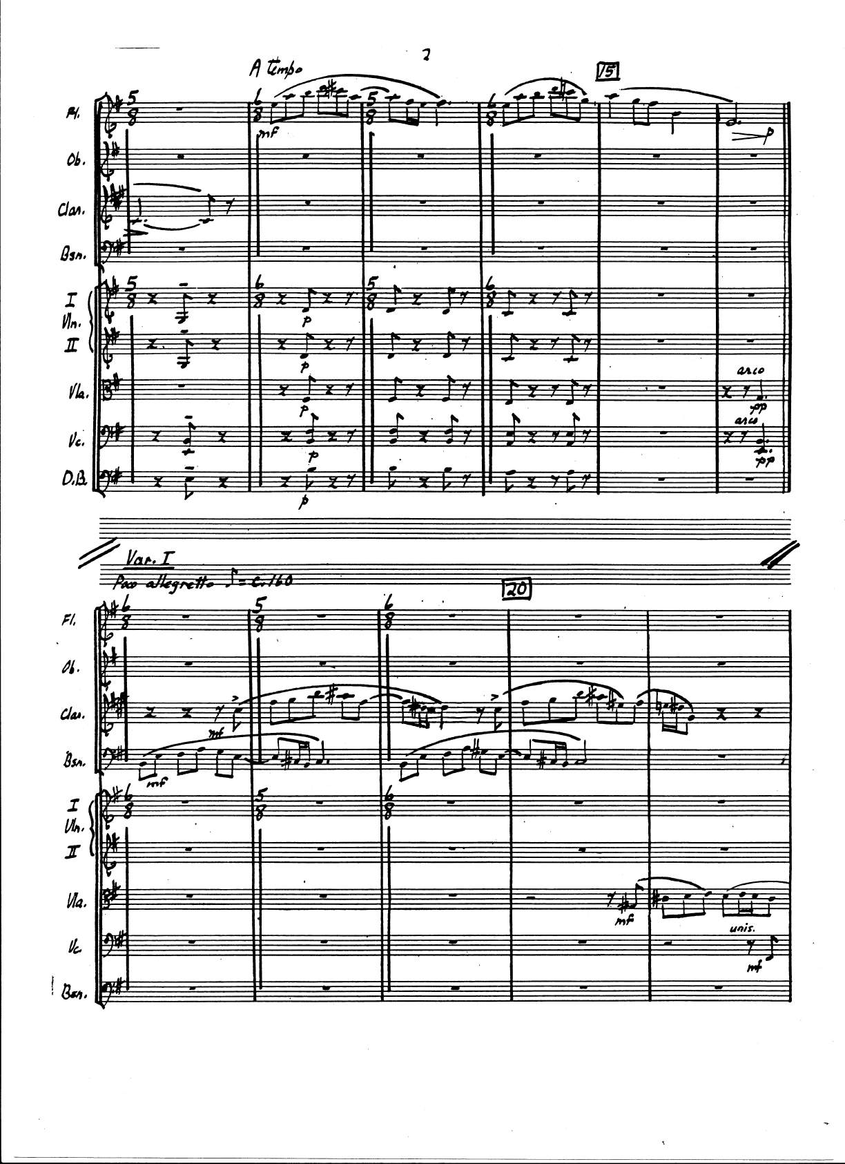 VARIATIONS FOR CHAMBER ORCHESTRA