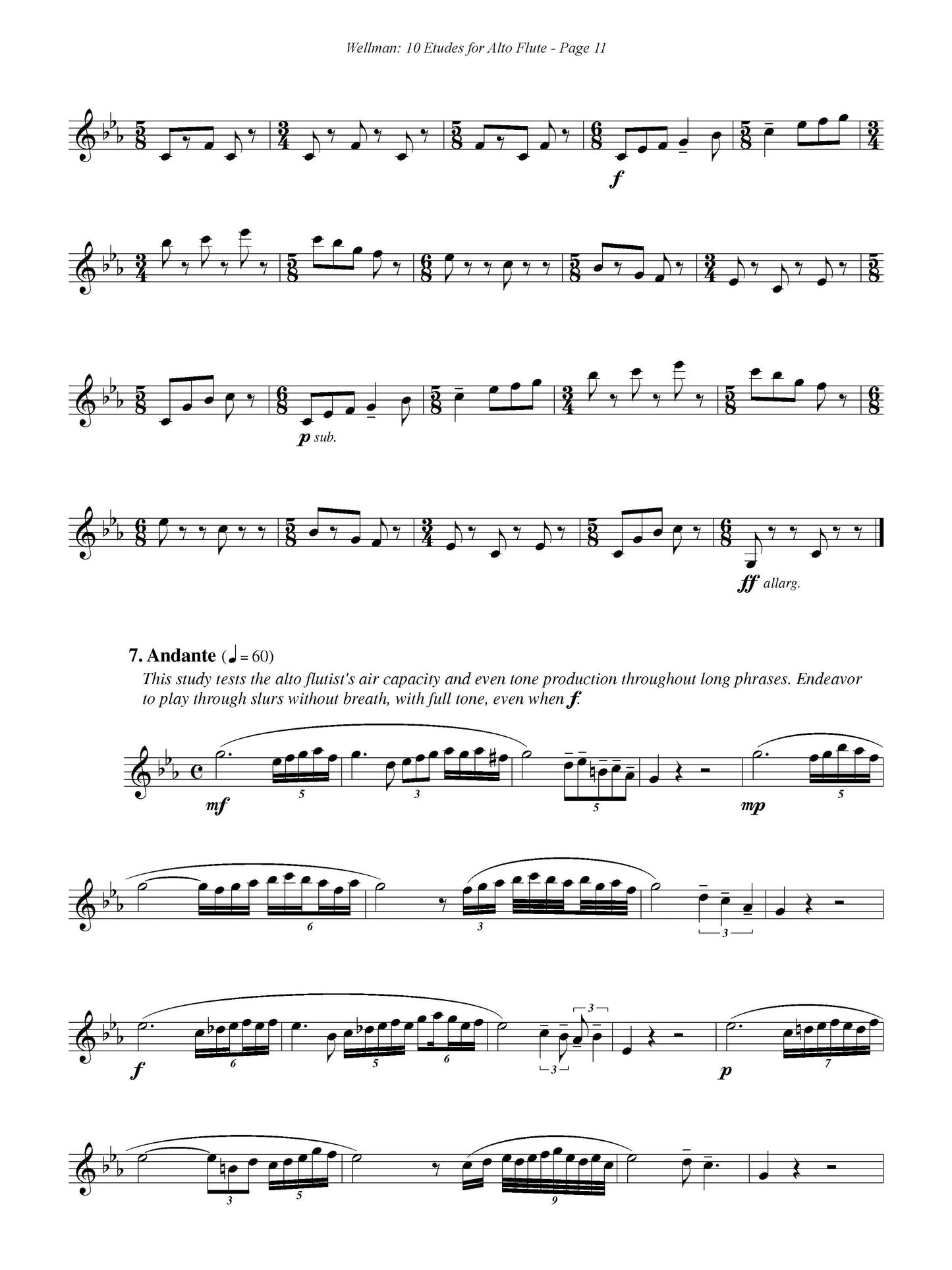 Ten Etudes for Alto Flute