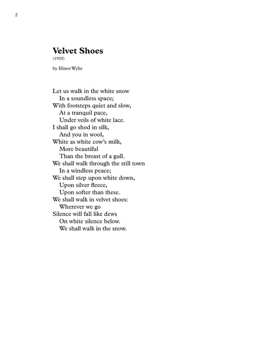 Velvet Shoes