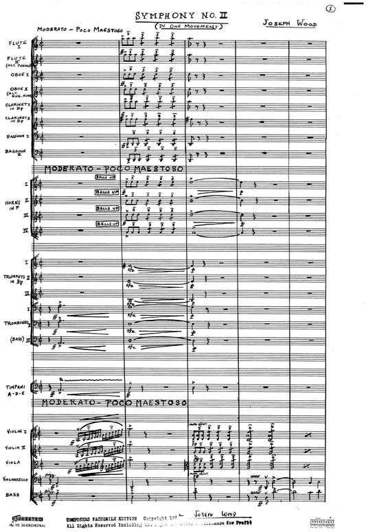 SYMPHONY NO. 2 (In One Movement)