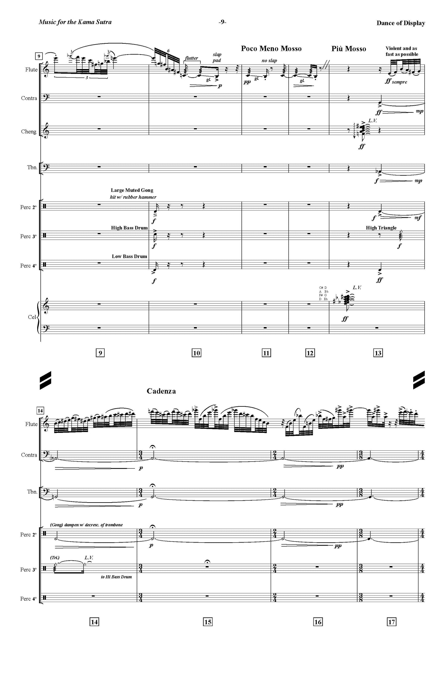 Music for the Kama Sutra