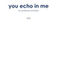 you echo in me