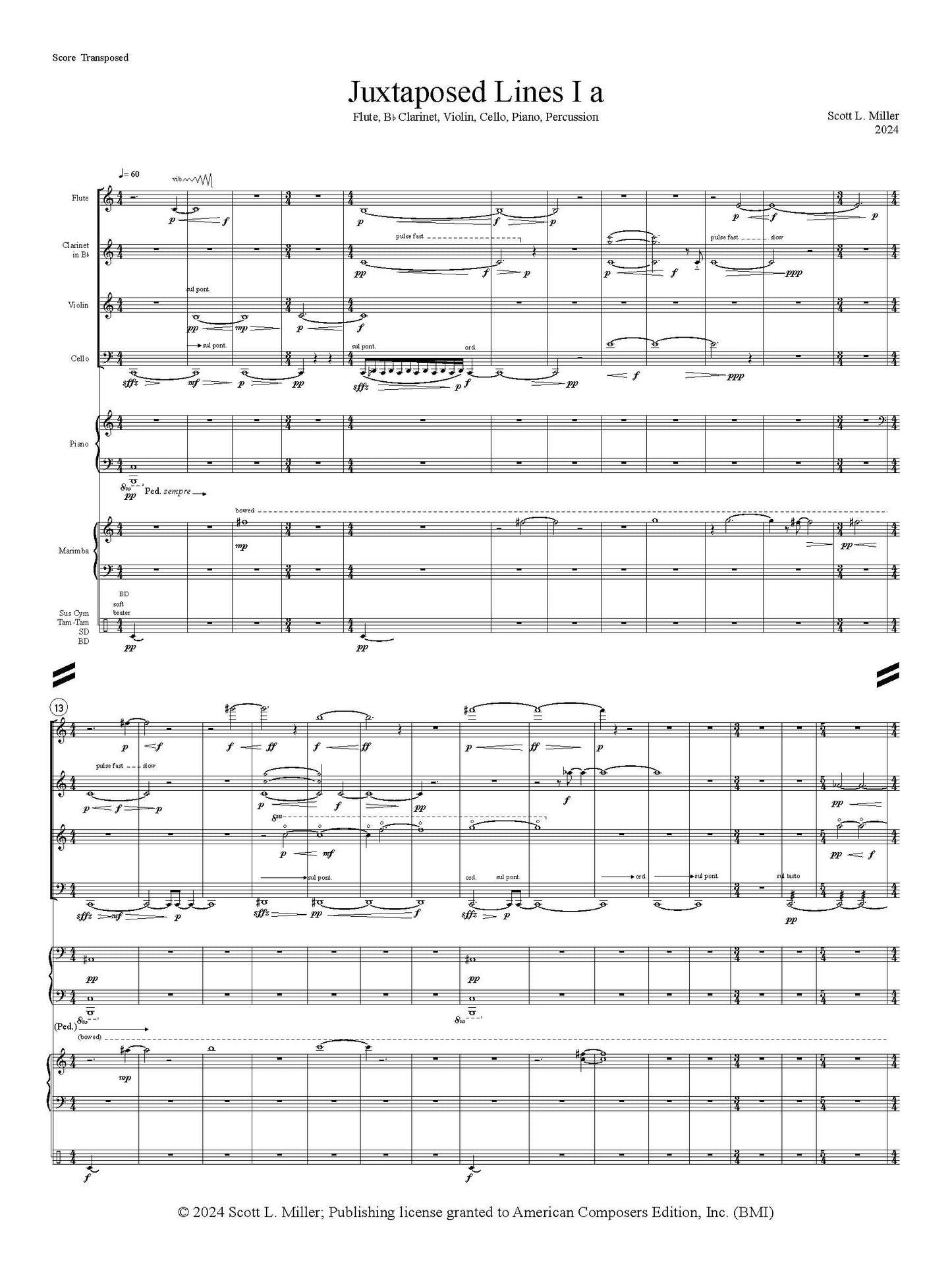 Juxtaposed Lines I a