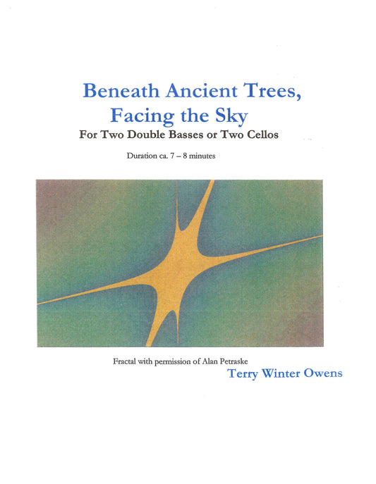 Beneath Ancient Trees Facing the Sky