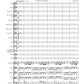 Concerto for Solo Violin and Orchestra