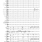 Concerto for Solo Violin and Orchestra