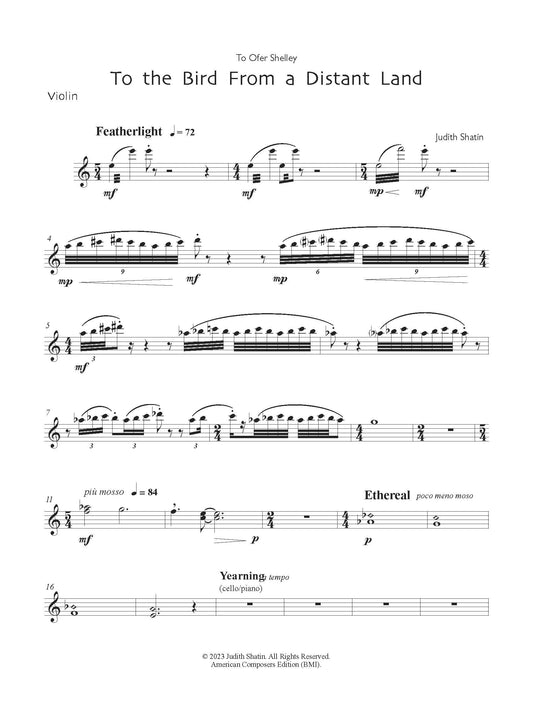 To the Bird From a Distant Land